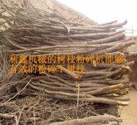 粉碎樹枝就用樹枝粉碎機